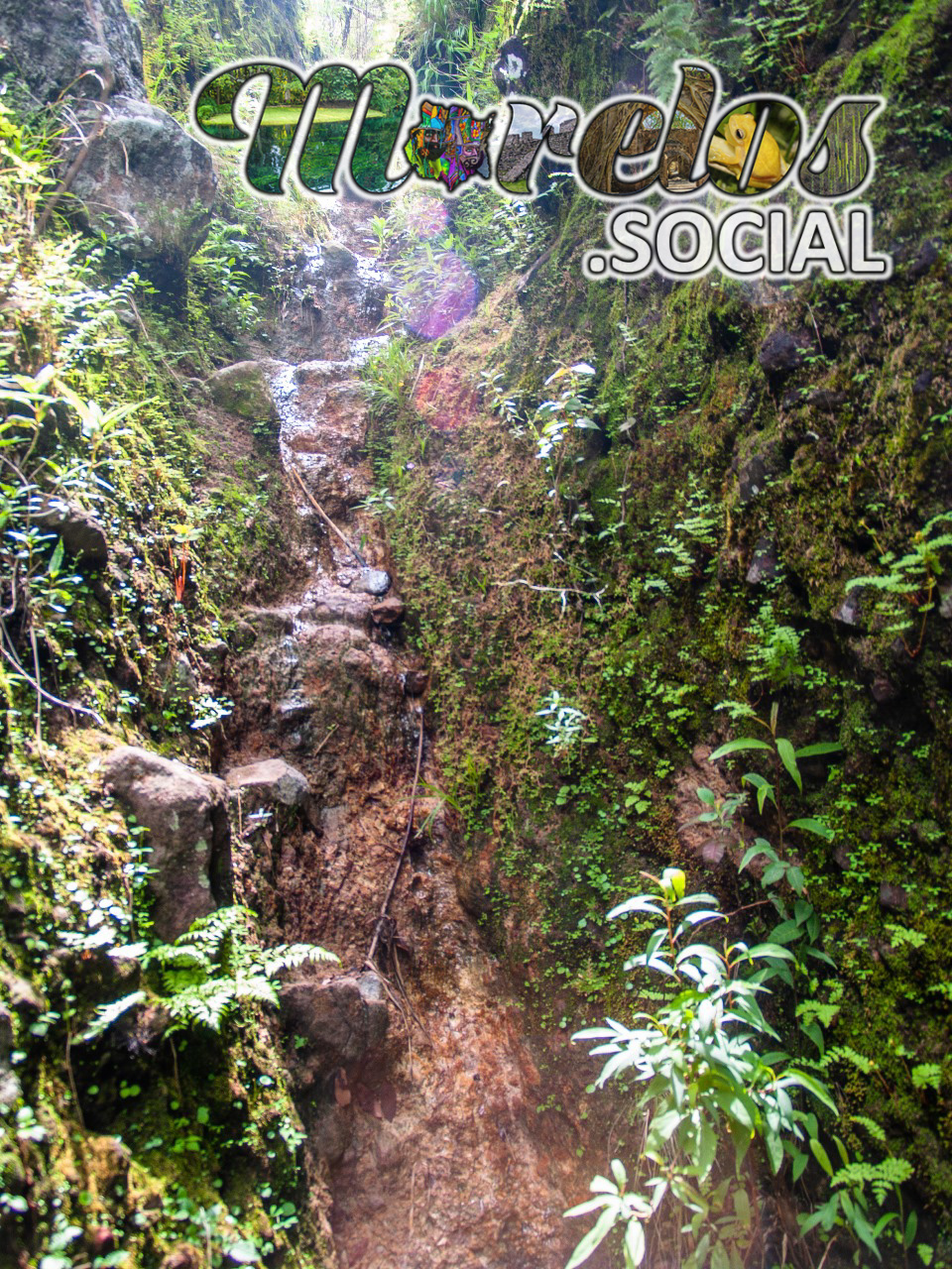 Barrancas en el cerro de la luz del pueblo mágico de Tepoztlán, Morelos